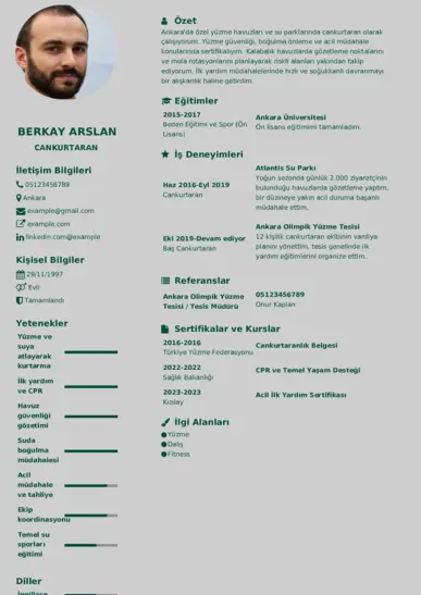  cv indir
